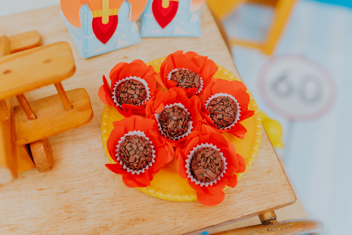 fotografia festa infantil Rio de Janeiro miguel 2 anos fotografa de familia rj 