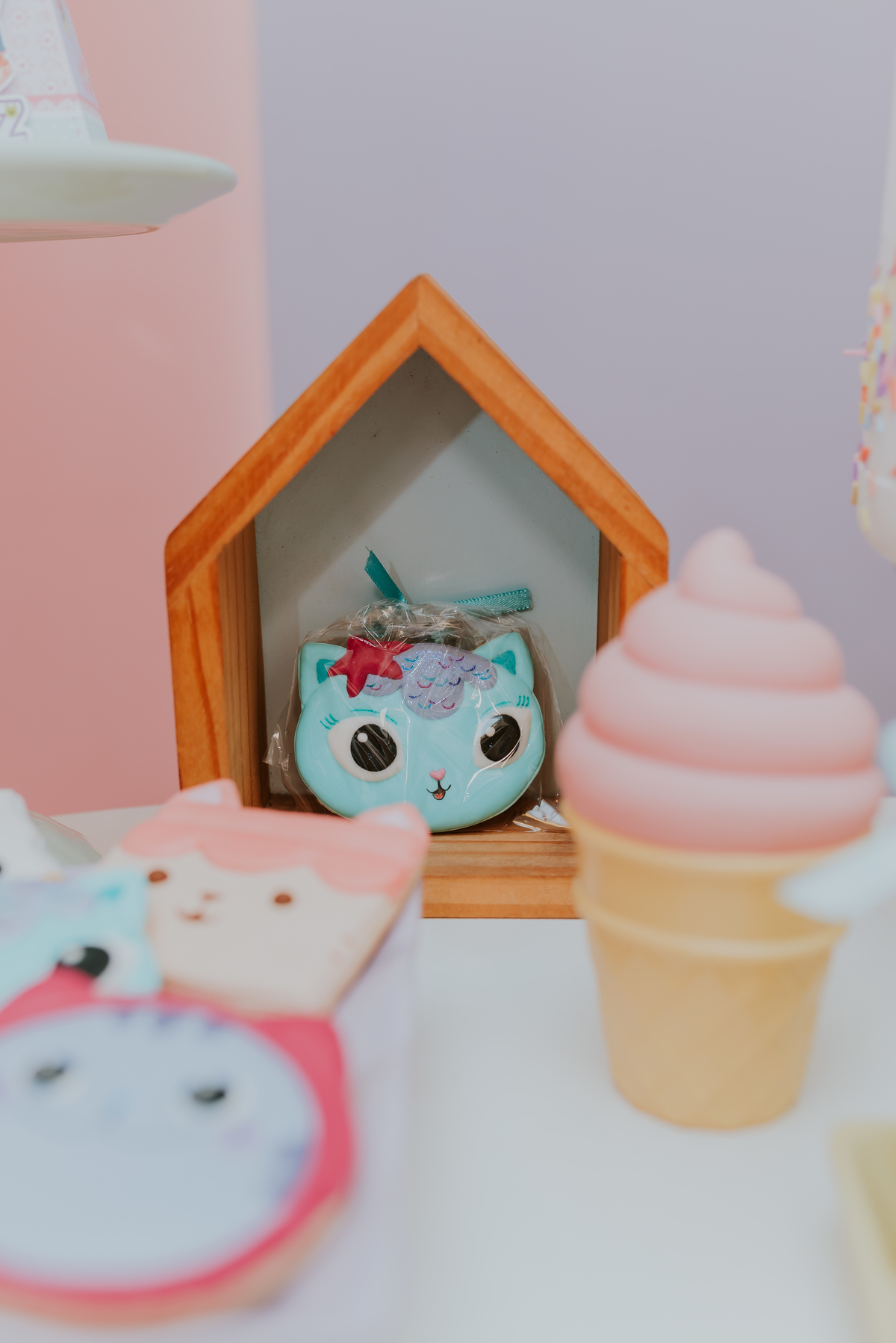 fotografia festa infantil Rio de Janeiro Tijuca 4 anos liz fotografa familia 