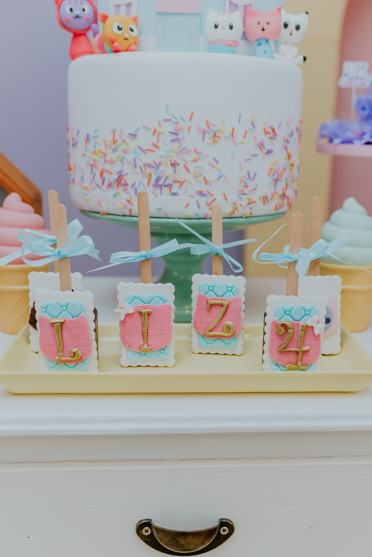 fotografia festa infantil Rio de Janeiro Tijuca 4 anos liz fotografa familia 