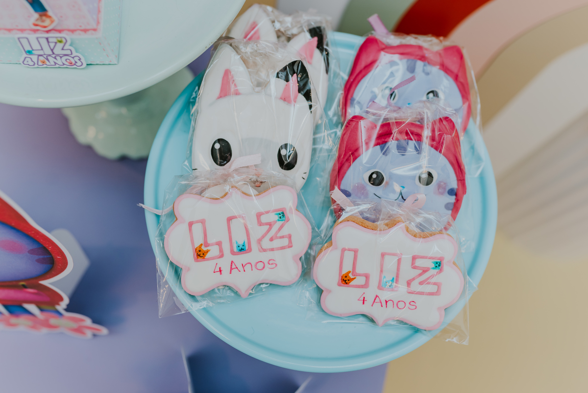 fotografia festa infantil Rio de Janeiro Tijuca 4 anos liz fotografa familia 