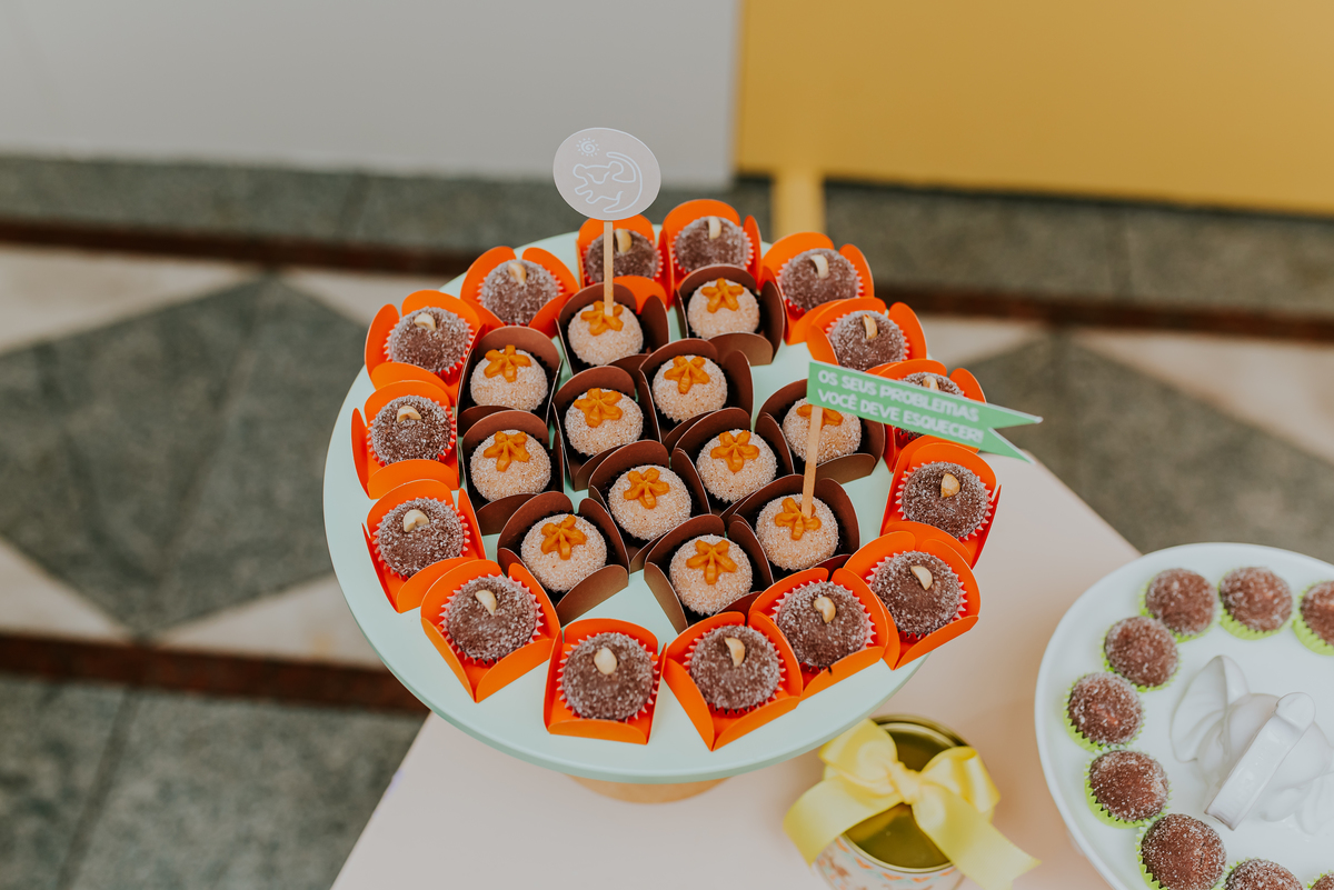 fotografia festa infantil Rio de Janeiro 1 ano Miguel rei leao fotografa 