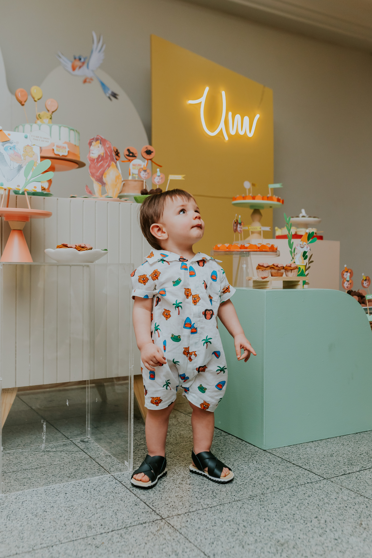 fotografia festa infantil Rio de Janeiro 1 ano Miguel rei leao fotografa 