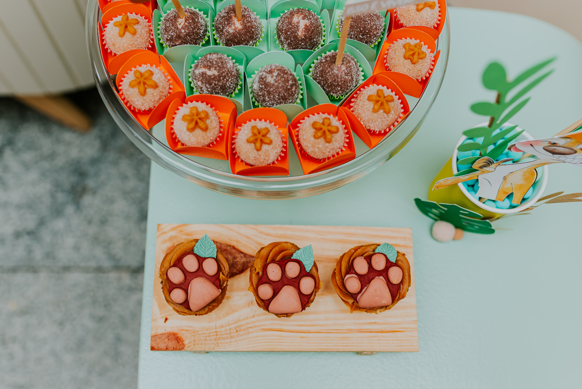 fotografia festa infantil Rio de Janeiro 1 ano Miguel rei leao fotografa 