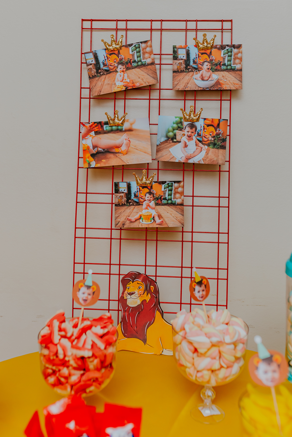 fotografia festa infantil Rio de Janeiro 1 ano Miguel rei leao fotografa 