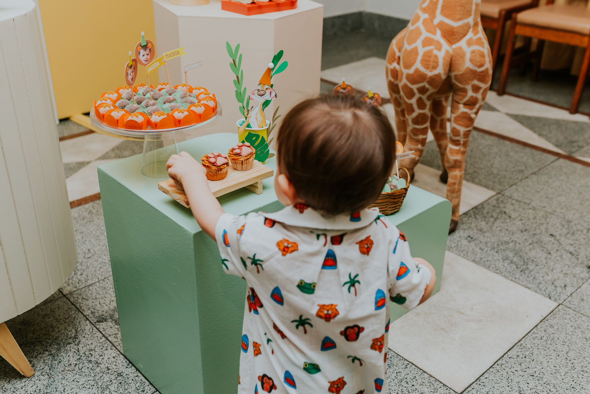 fotografia festa infantil Rio de Janeiro 1 ano Miguel rei leao fotografa 