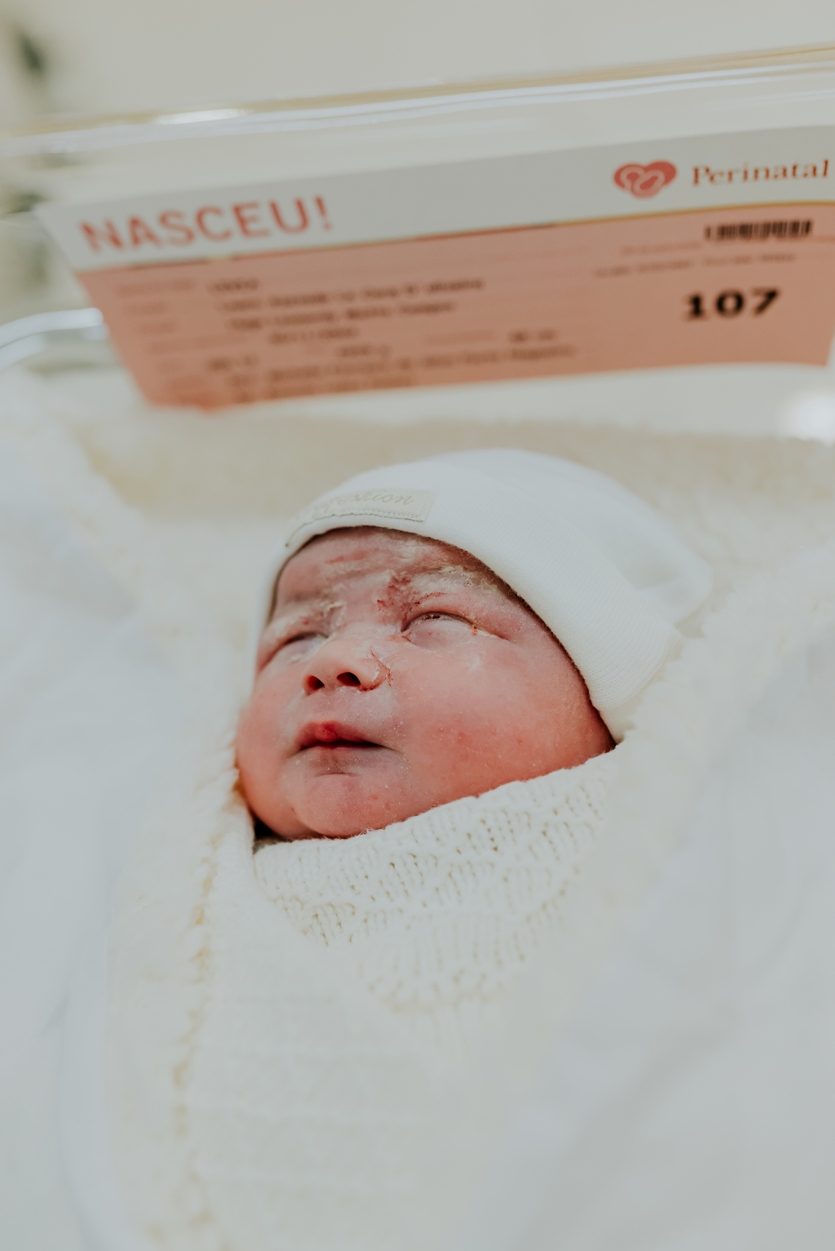 fotografia parto nascimento perinatal laranjeiras Livia fotografa de familia Rio de Janeiro rj 