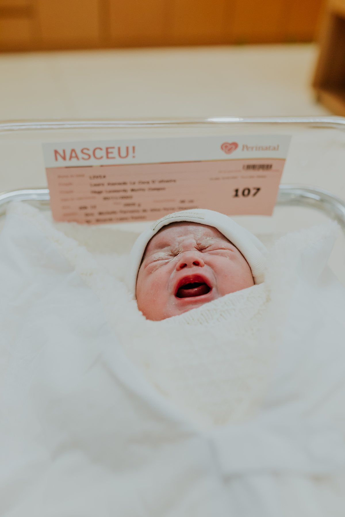 fotografia parto nascimento perinatal laranjeiras Livia fotografa de familia Rio de Janeiro rj 