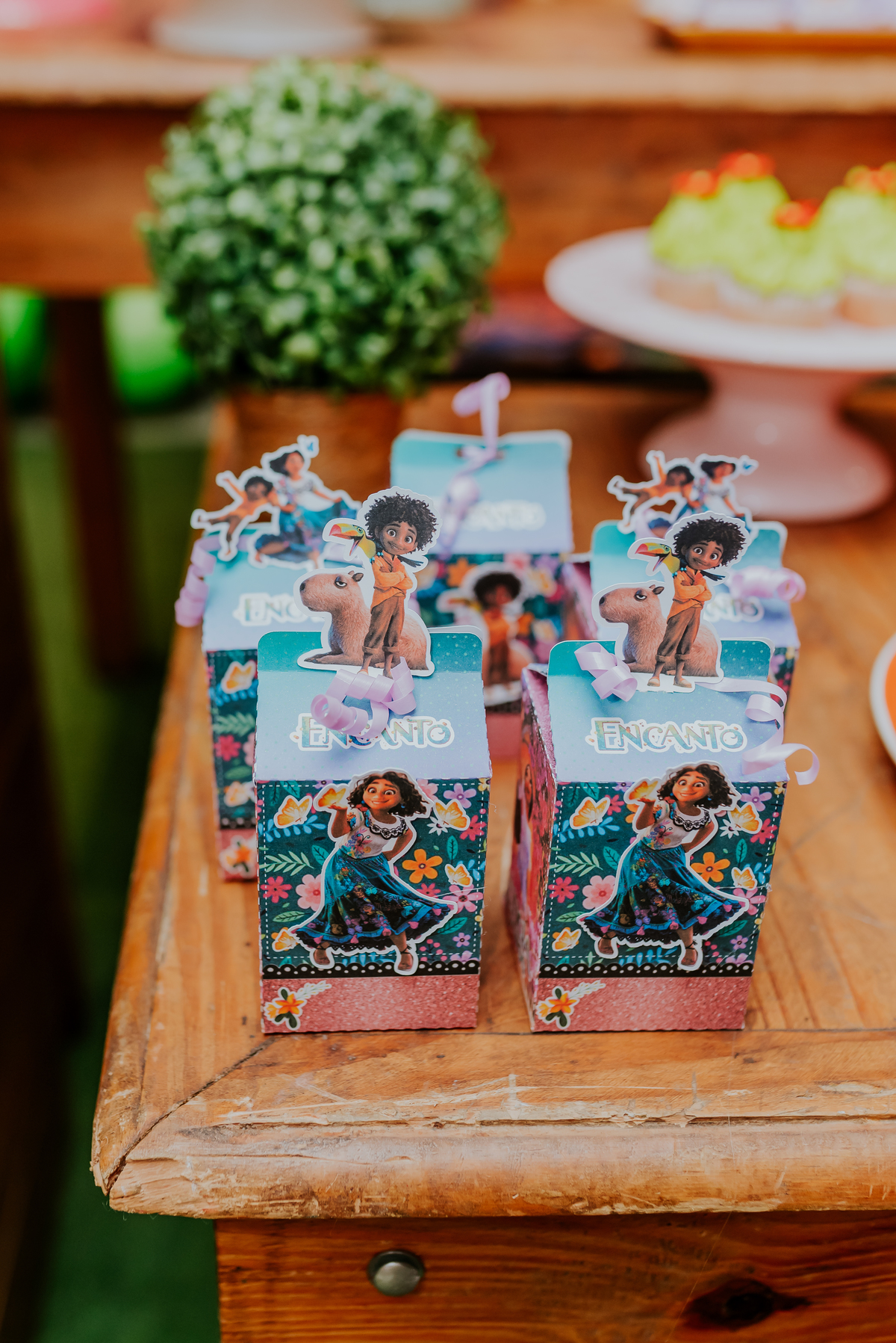 fotografia festa infantil Copacabana Rio de Janeiro 3 anos David 5 anos leticia super herois encanto fotografa familia