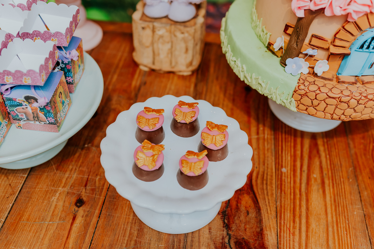 fotografia festa infantil Copacabana Rio de Janeiro 3 anos David 5 anos leticia super herois encanto fotografa familia