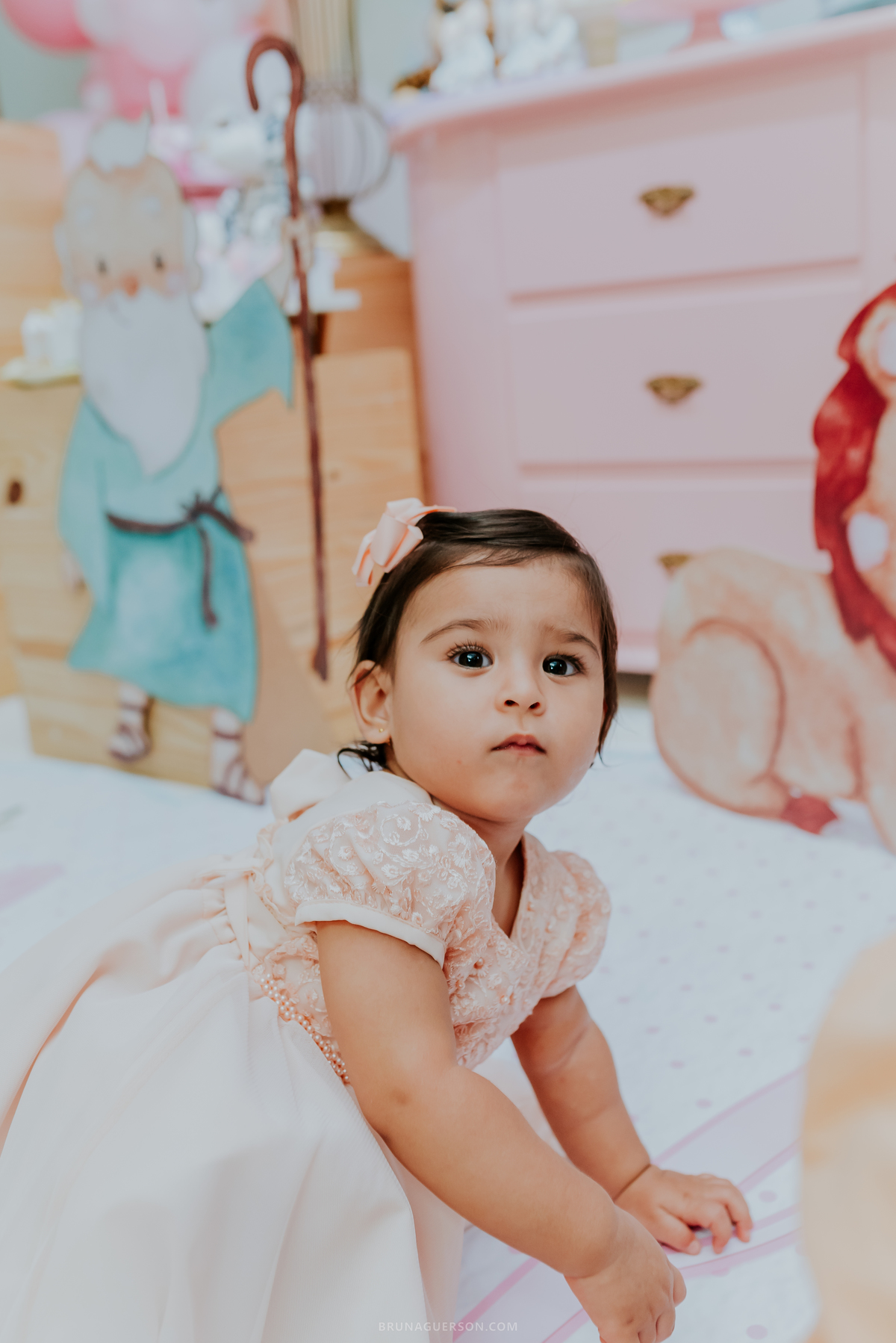 fotografia festa infantil Rio de Janeiro jardim Guanabara espaço diversão casa de festas fotografa de familia 1 ano Angelina ilha do governador 