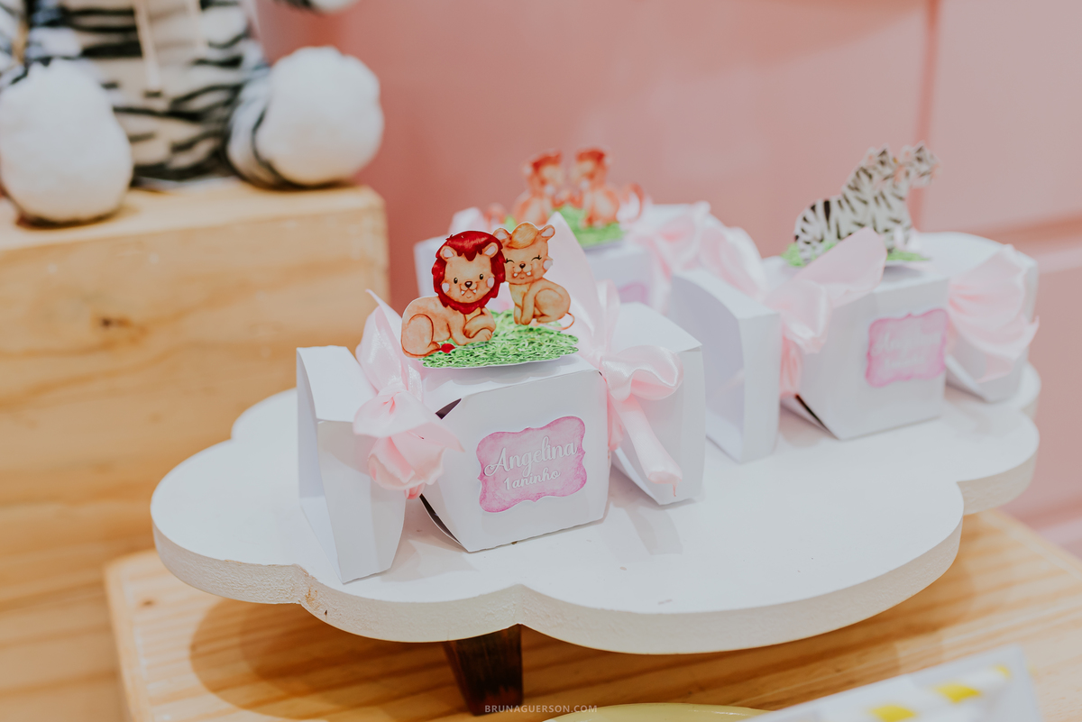 fotografia festa infantil Rio de Janeiro jardim Guanabara espaço diversão casa de festas fotografa de familia 1 ano Angelina ilha do governador 