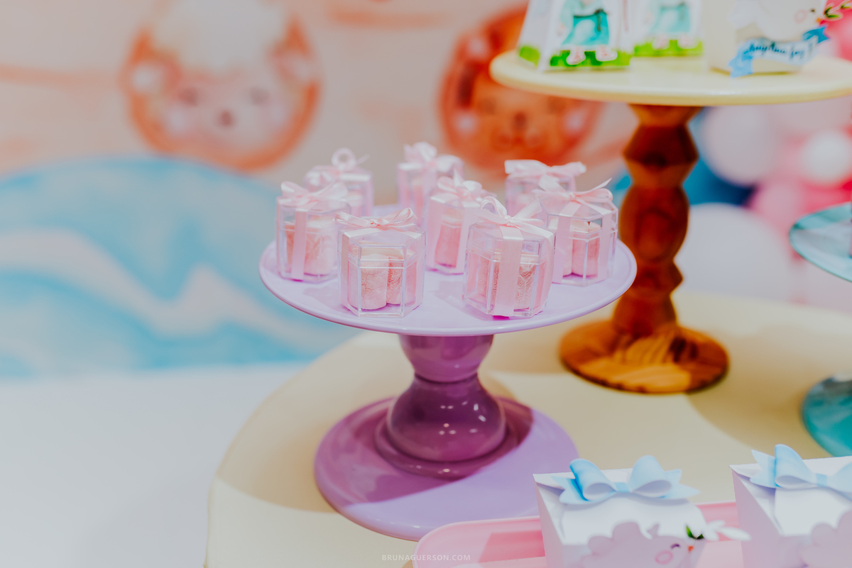 fotografia festa infantil Rio de Janeiro jardim Guanabara espaço diversão casa de festas fotografa de familia 1 ano Angelina ilha do governador 