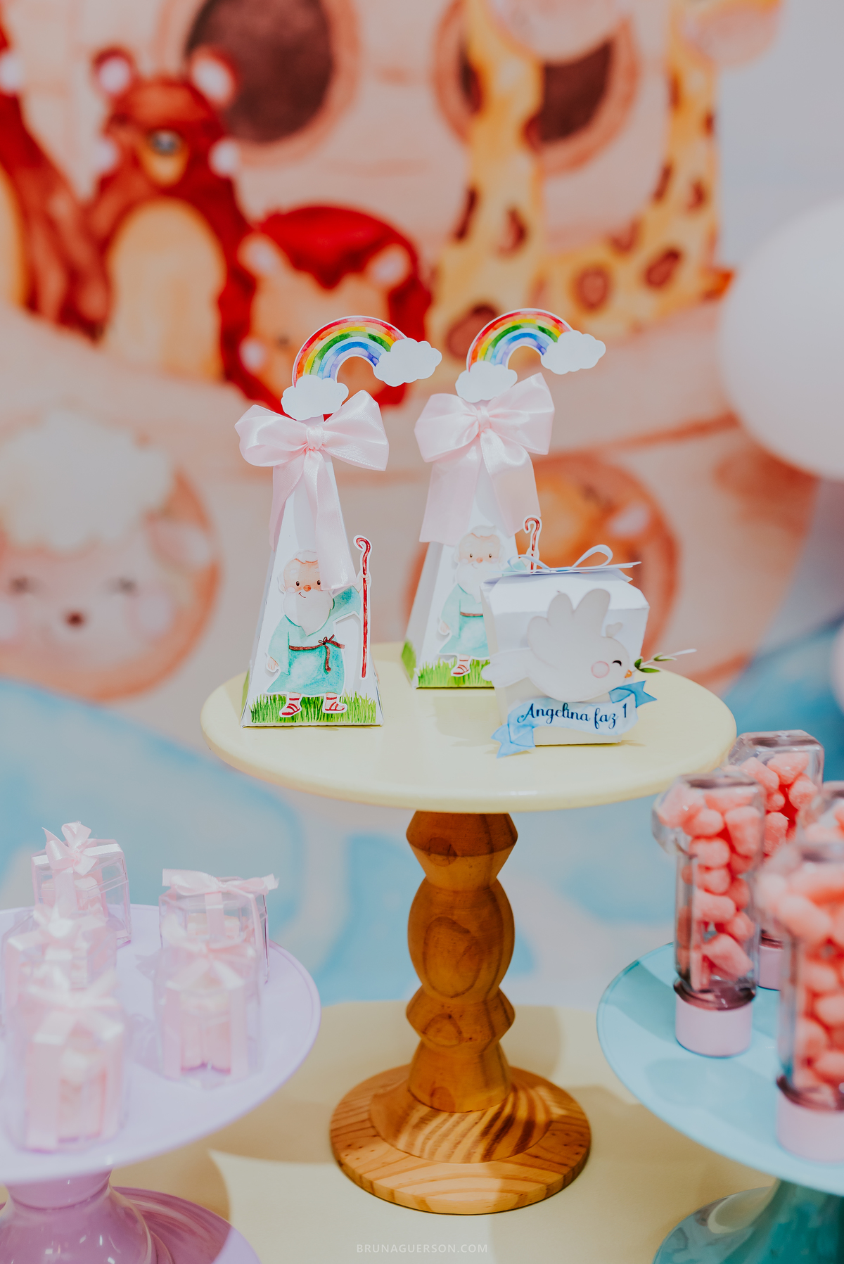 fotografia festa infantil Rio de Janeiro jardim Guanabara espaço diversão casa de festas fotografa de familia 1 ano Angelina ilha do governador 