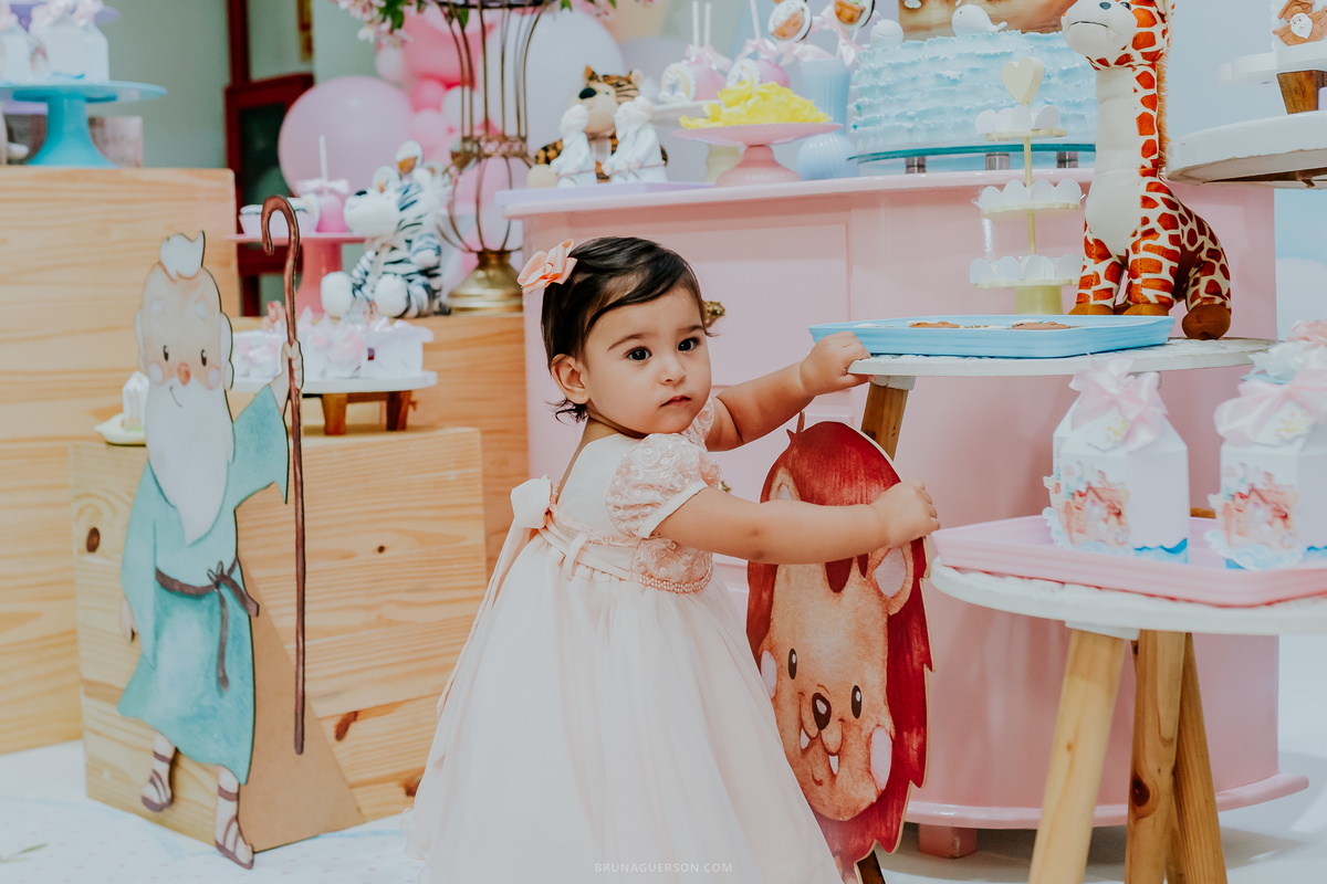 fotografia festa infantil Rio de Janeiro jardim Guanabara espaço diversão casa de festas fotografa de familia 1 ano Angelina ilha do governador 