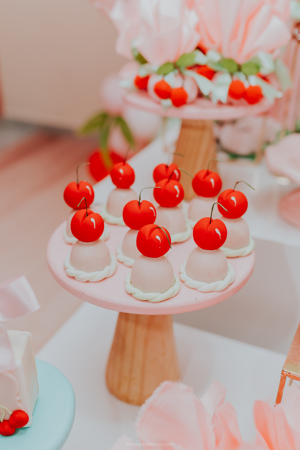 fotografia festa infantil Rio de Janeiro fotografa familia 1 ano Laura Tijuca tema cerejinha 