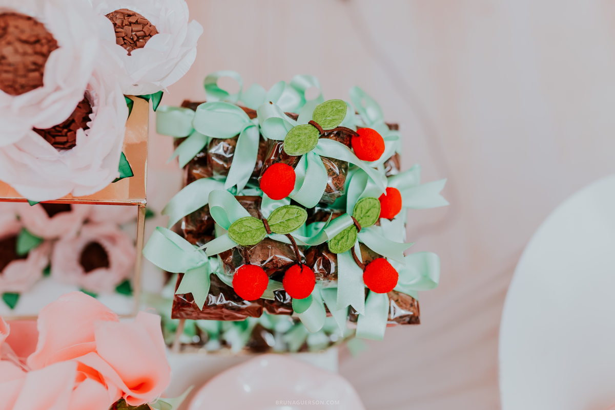 fotografia festa infantil Rio de Janeiro fotografa familia 1 ano Laura Tijuca tema cerejinha 