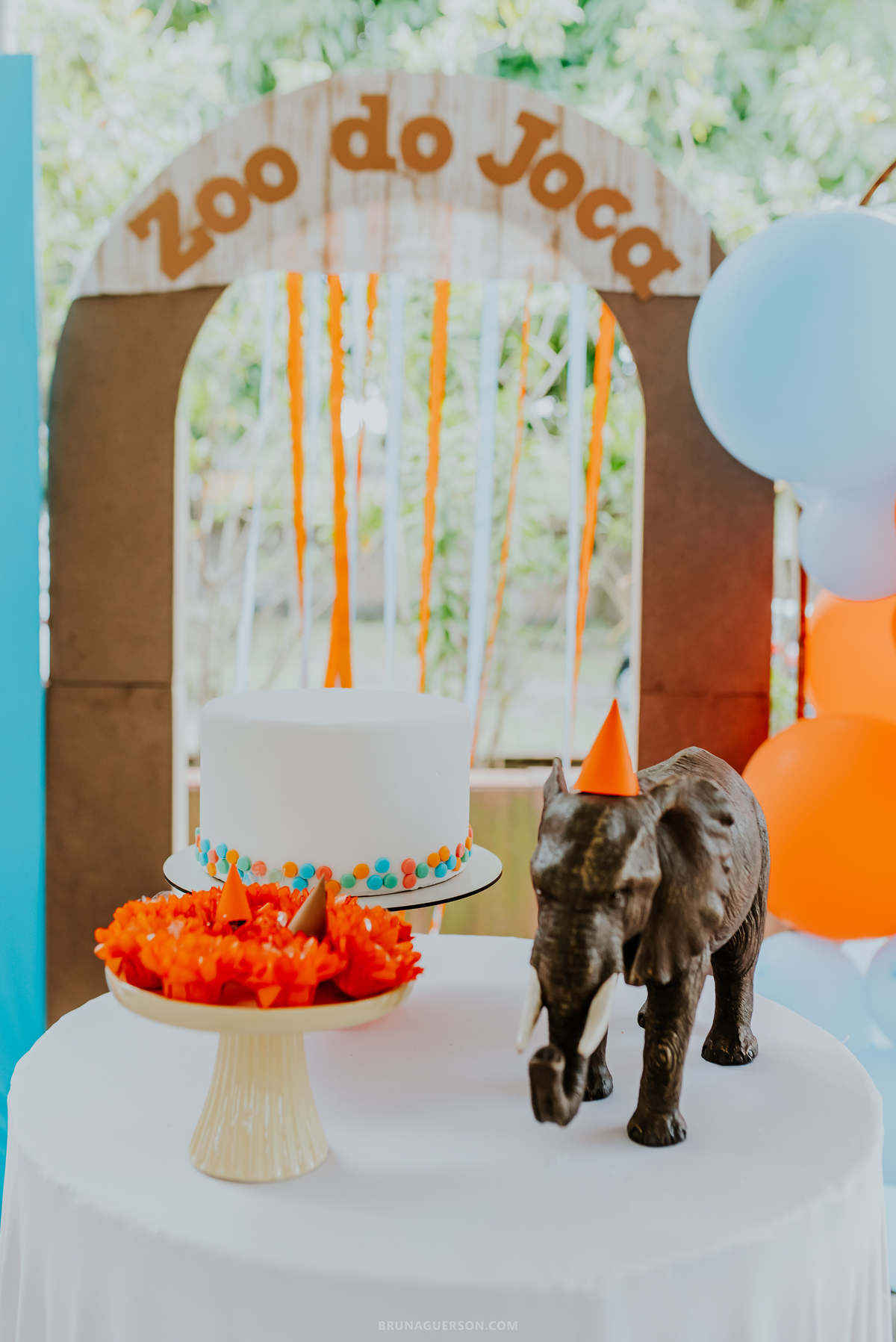 fotografia Rio de Janeiro festa infantil 1 ano Joaquim sitio barra de guaratiba fotografa de familia 