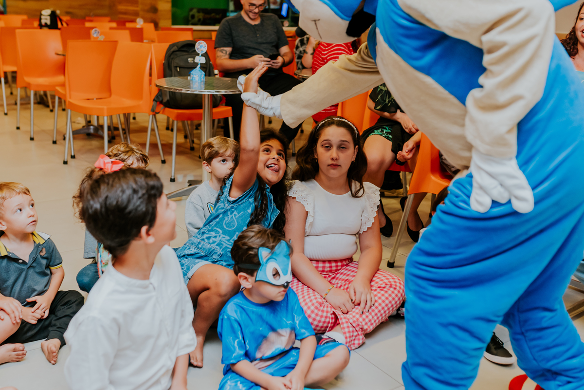 fotografia festa infantil ilha do governador casa de festa adoleta 5 anos Sonic tema fotografa familia rio de janeiro