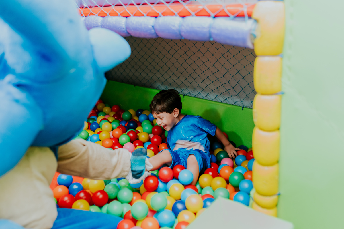 fotografia festa infantil ilha do governador casa de festa adoleta 5 anos Sonic tema fotografa familia rio de janeiro