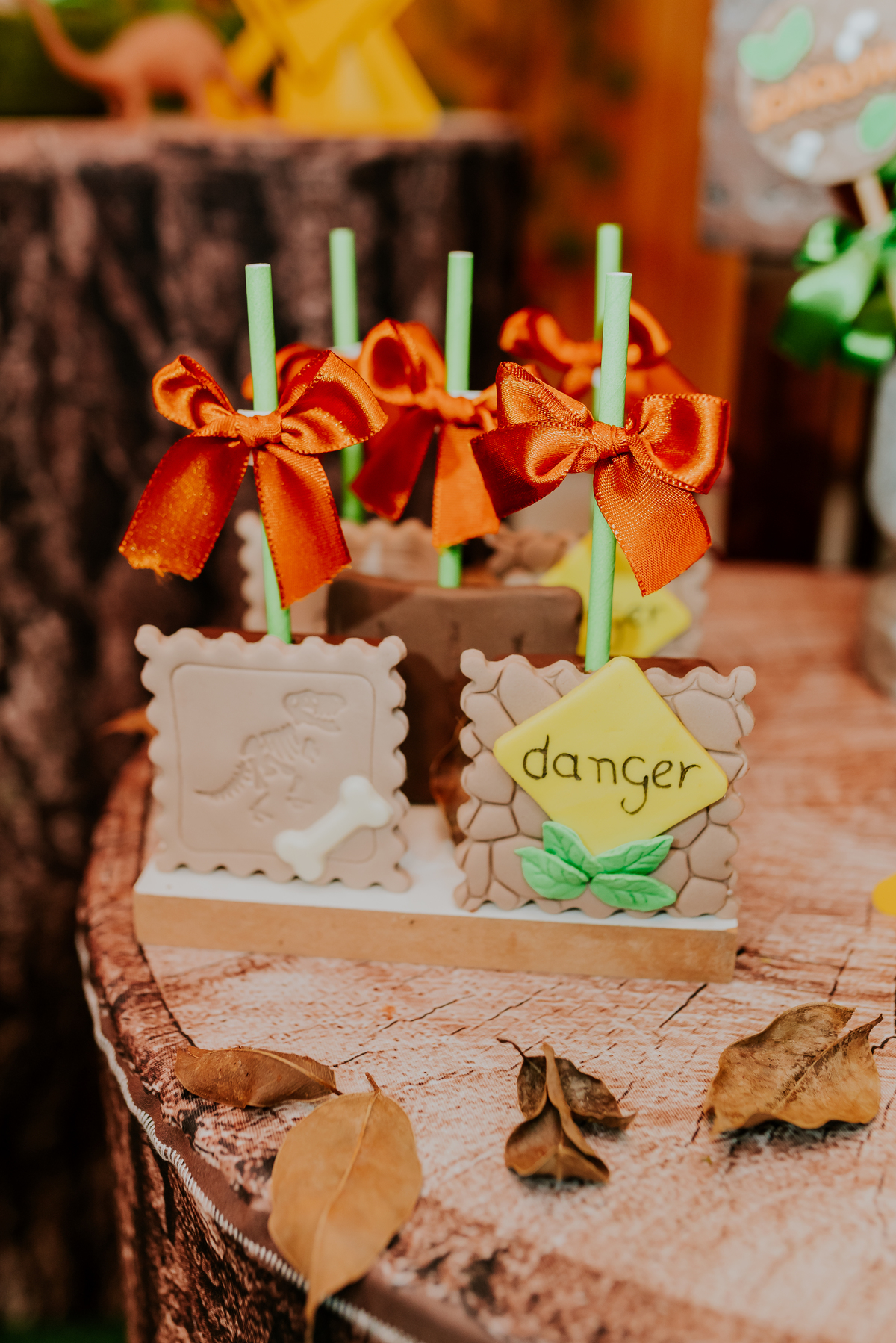 fotografia festa infantil 3 anos Joaquim ilha do governador dinossauro fotografa familia bruna Guerson ufrj 