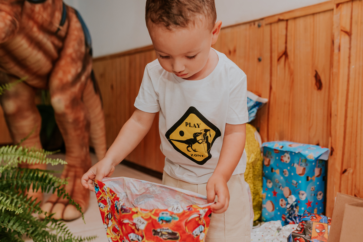 fotografia festa infantil 3 anos Joaquim ilha do governador dinossauro fotografa familia bruna Guerson ufrj 