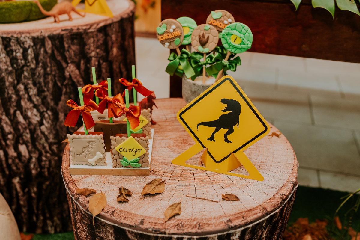 fotografia festa infantil 3 anos Joaquim ilha do governador dinossauro fotografa familia bruna Guerson ufrj 