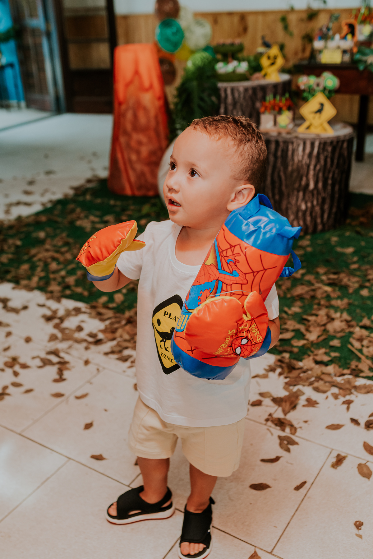 fotografia festa infantil 3 anos Joaquim ilha do governador dinossauro fotografa familia bruna Guerson ufrj 