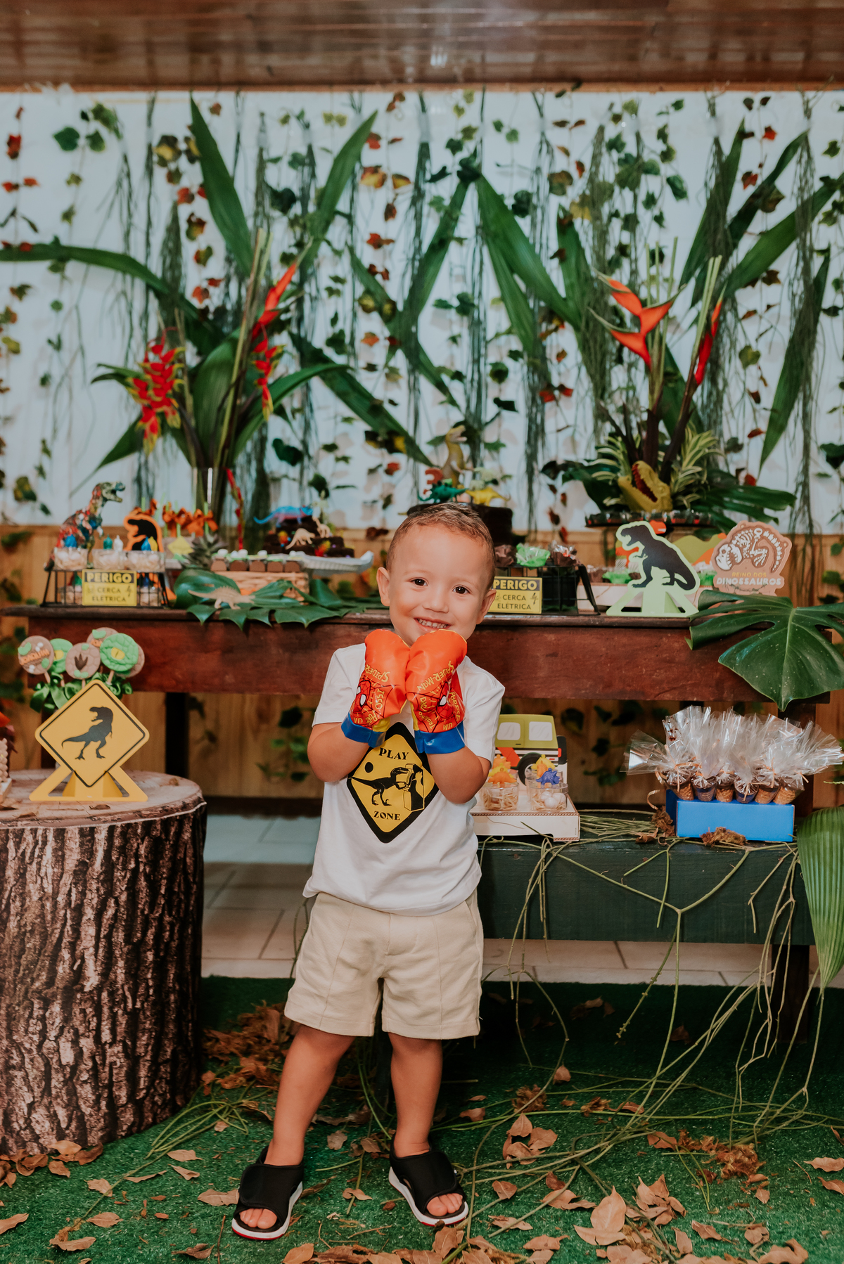 fotografia festa infantil 3 anos Joaquim ilha do governador dinossauro fotografa familia bruna Guerson ufrj 