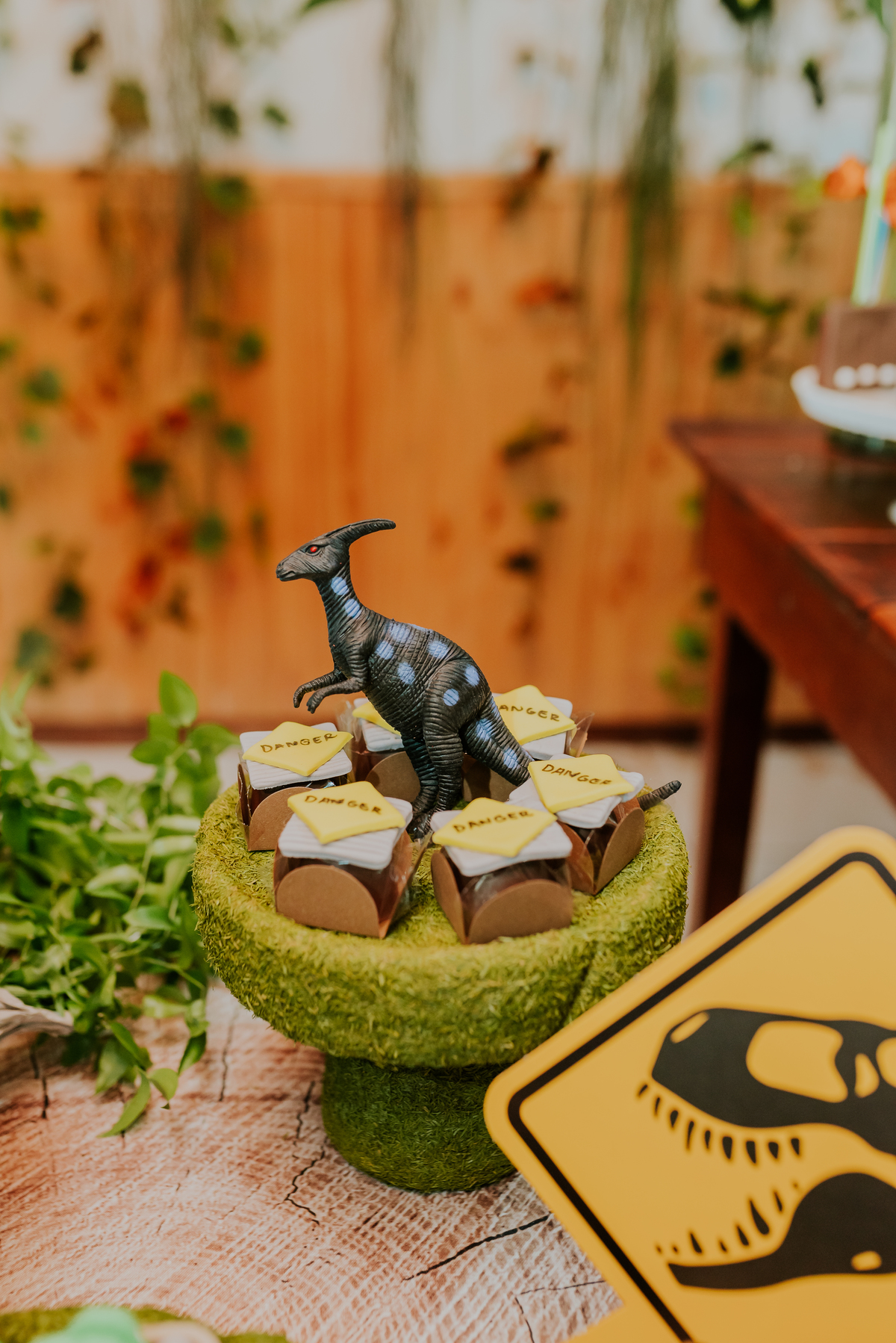 fotografia festa infantil 3 anos Joaquim ilha do governador dinossauro fotografa familia bruna Guerson ufrj 