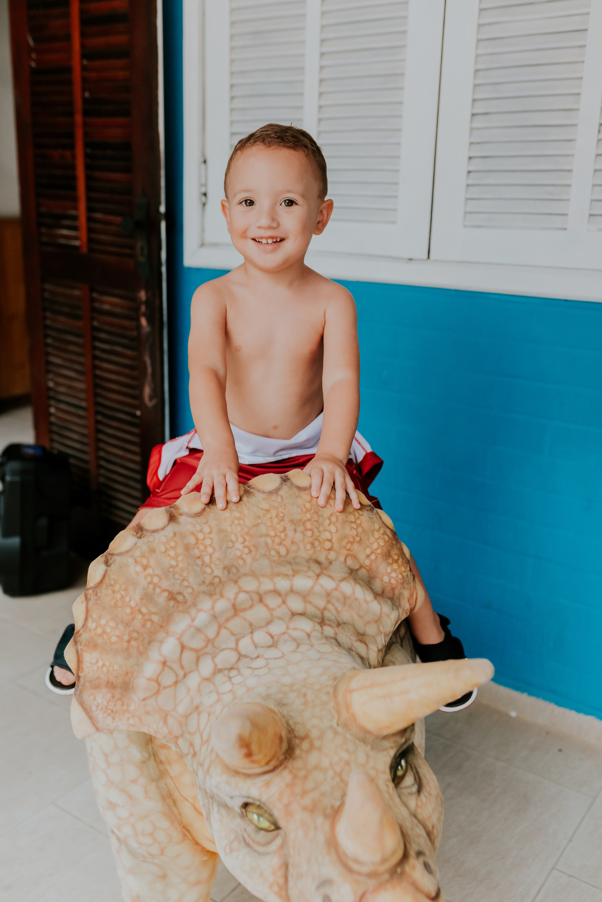 fotografia festa infantil 3 anos Joaquim ilha do governador dinossauro fotografa familia bruna Guerson ufrj 