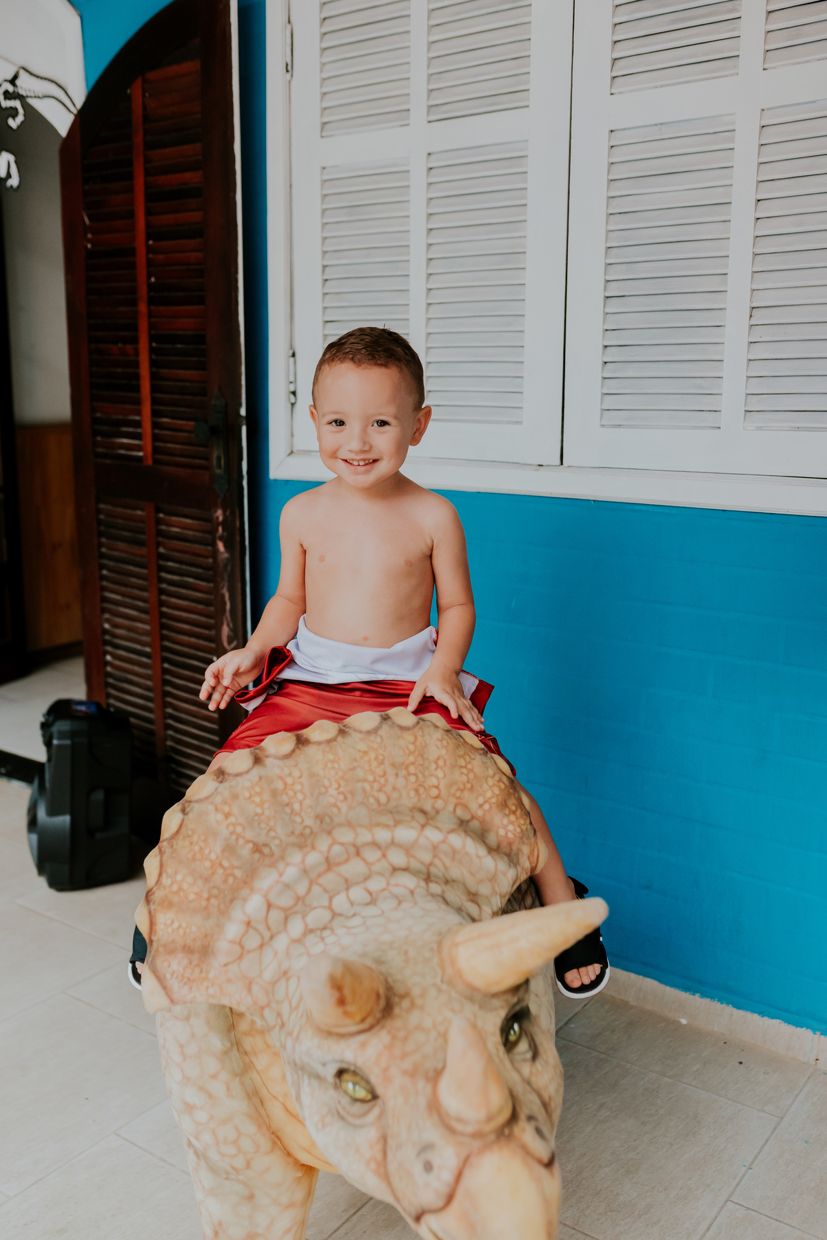 fotografia festa infantil 3 anos Joaquim ilha do governador dinossauro fotografa familia bruna Guerson ufrj 