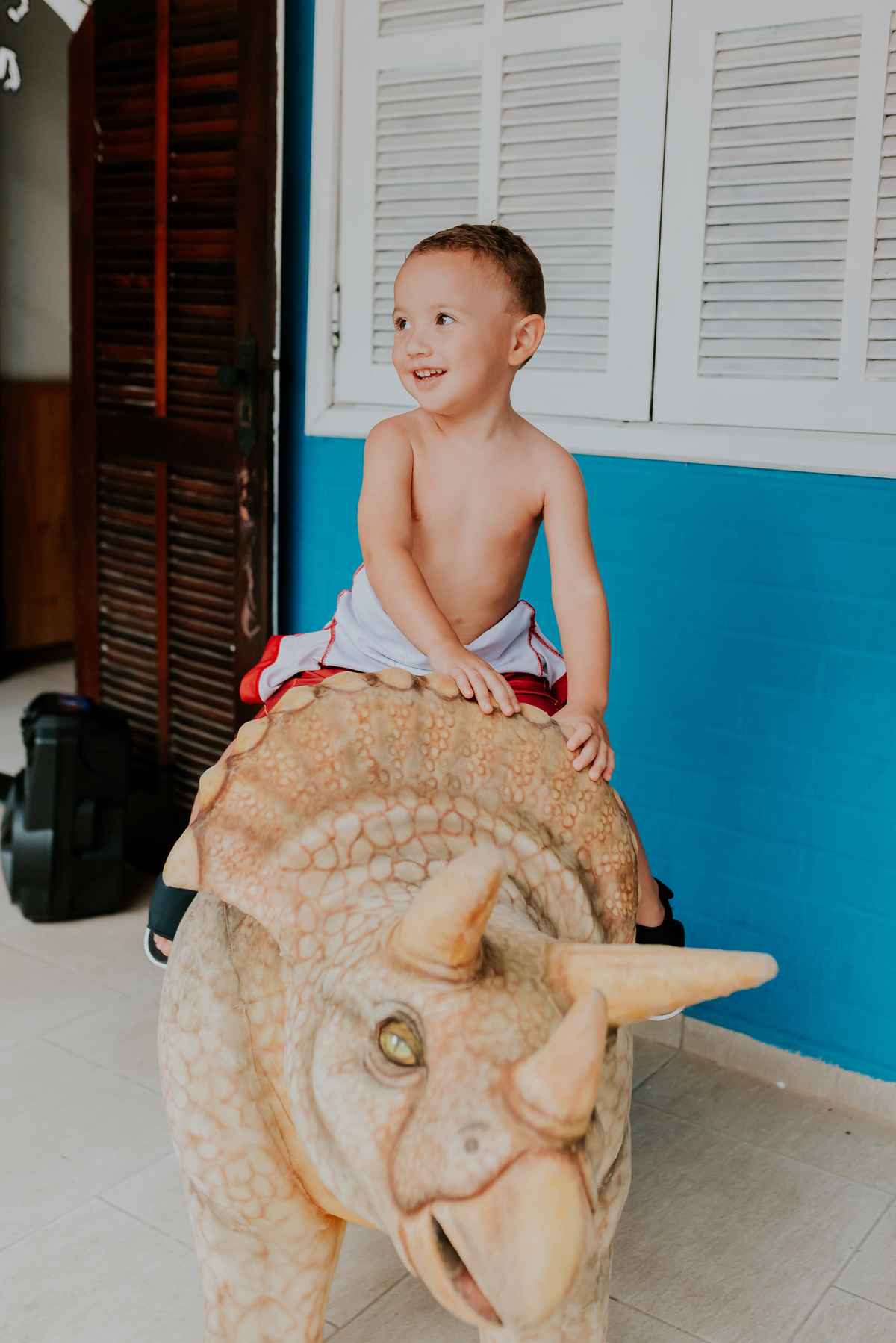 fotografia festa infantil 3 anos Joaquim ilha do governador dinossauro fotografa familia bruna Guerson ufrj 