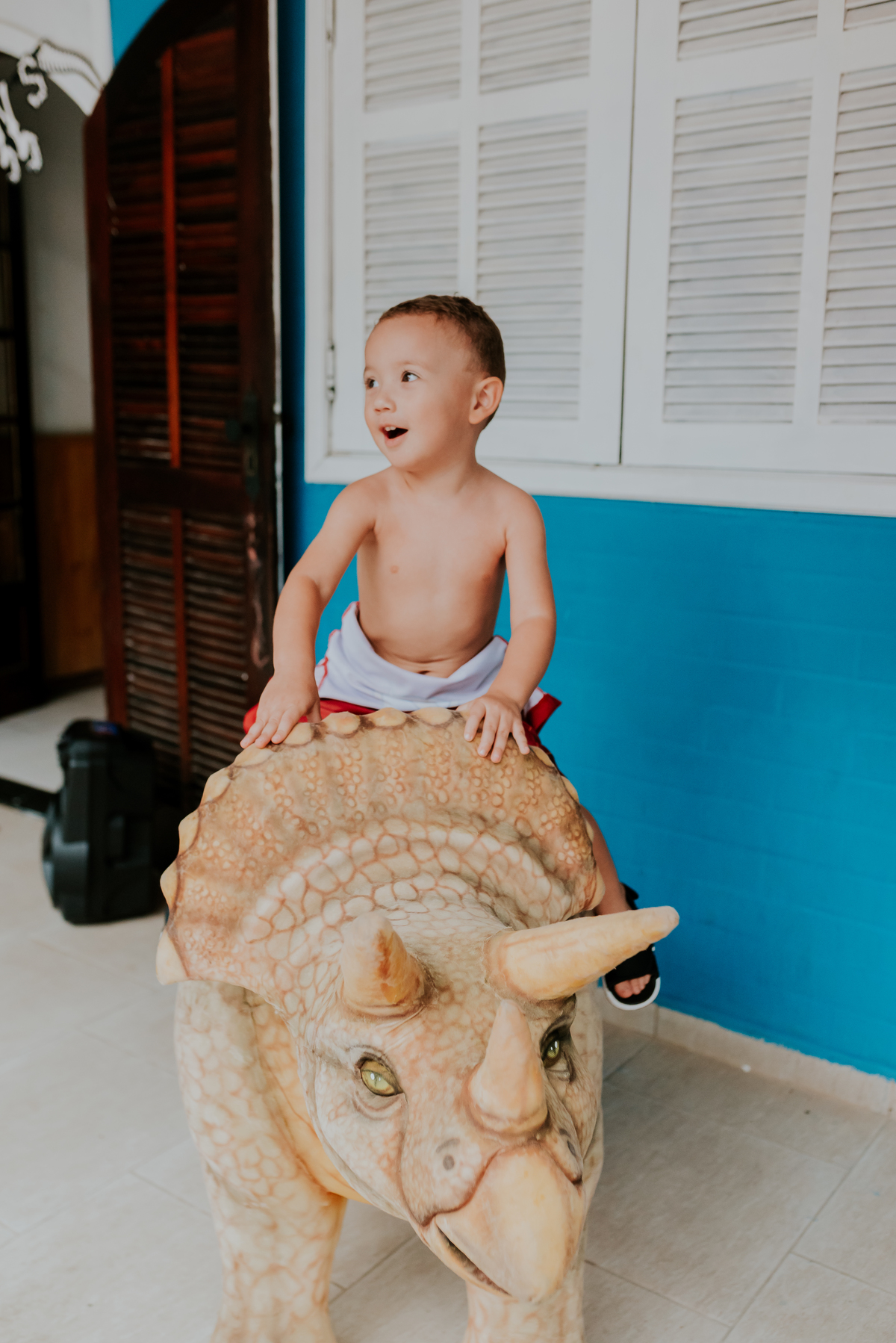 fotografia festa infantil 3 anos Joaquim ilha do governador dinossauro fotografa familia bruna Guerson ufrj 