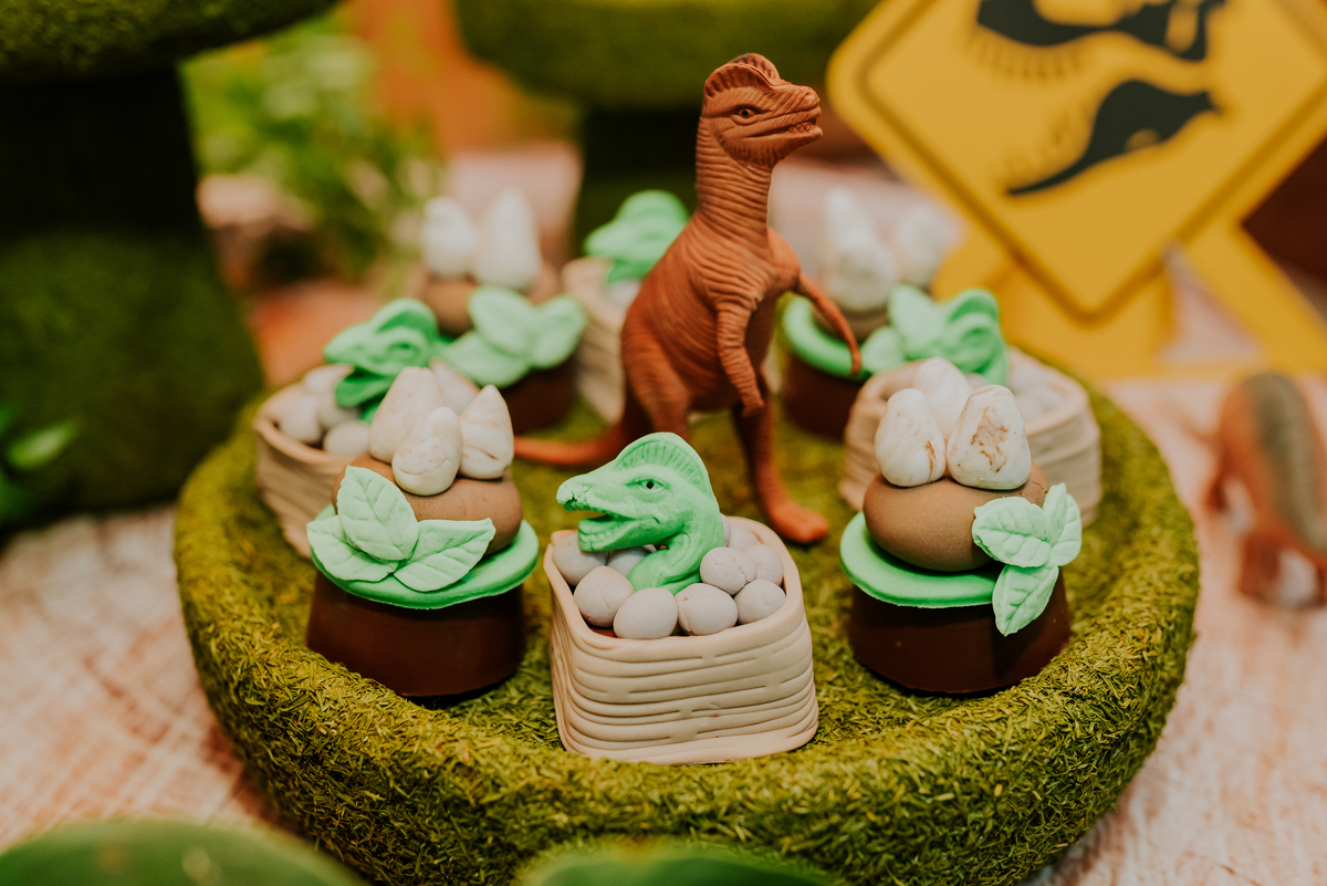 fotografia festa infantil 3 anos Joaquim ilha do governador dinossauro fotografa familia bruna Guerson ufrj 