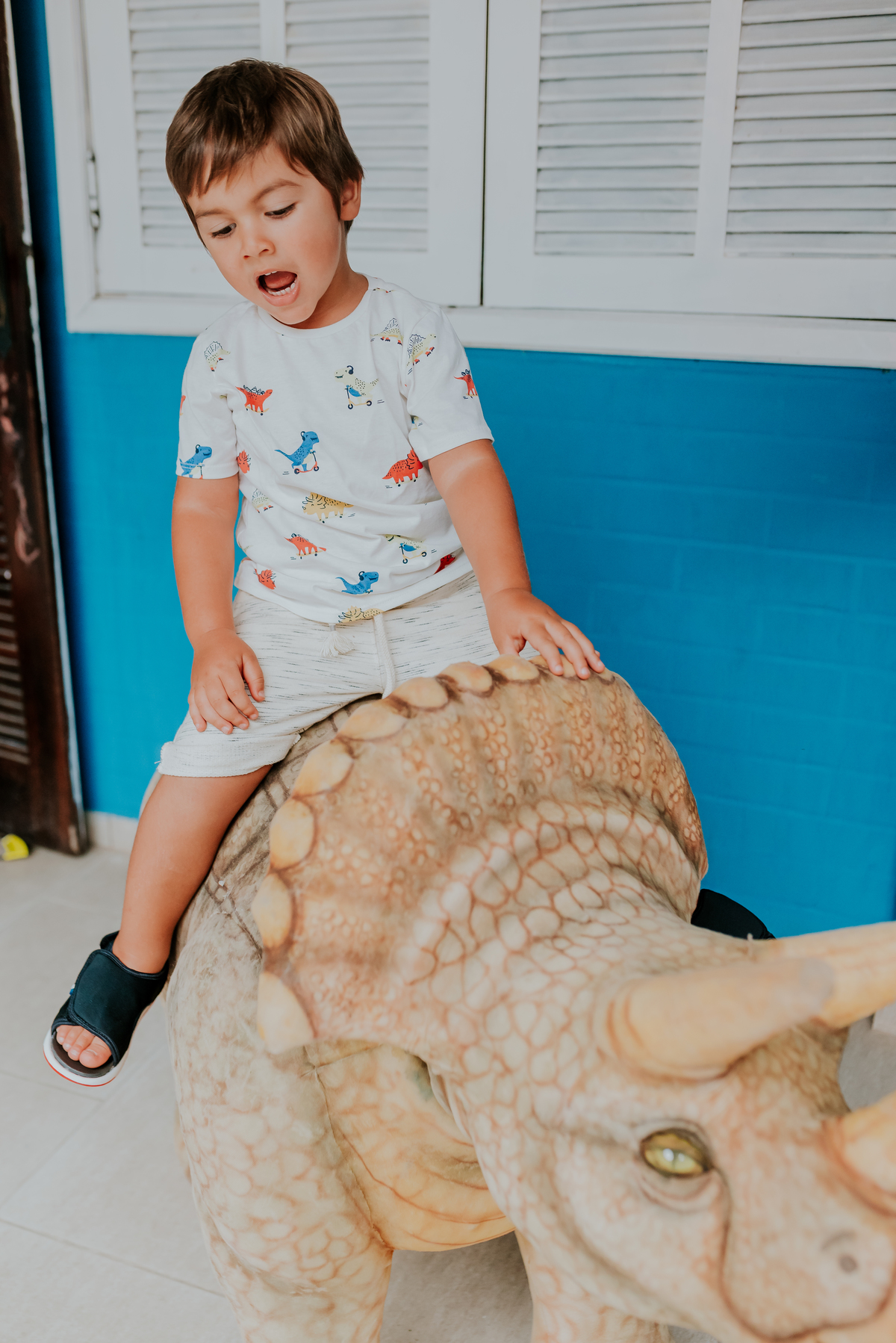 fotografia festa infantil 3 anos Joaquim ilha do governador dinossauro fotografa familia bruna Guerson ufrj 