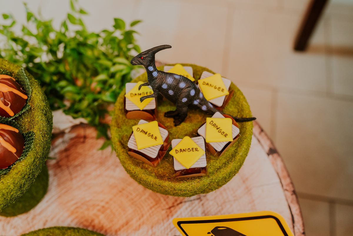 fotografia festa infantil 3 anos Joaquim ilha do governador dinossauro fotografa familia bruna Guerson ufrj 