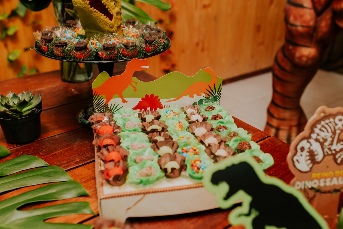 fotografia festa infantil 3 anos Joaquim ilha do governador dinossauro fotografa familia bruna Guerson ufrj 