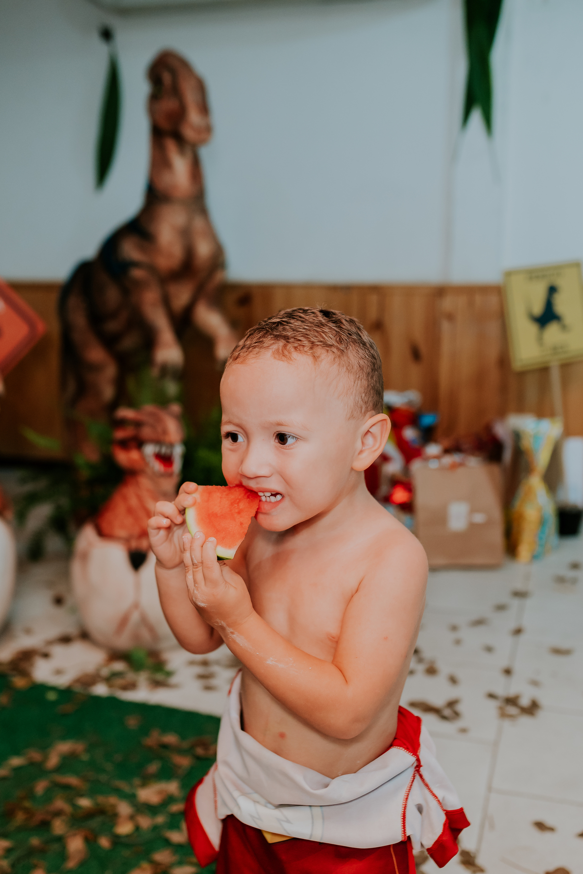 fotografia festa infantil 3 anos Joaquim ilha do governador dinossauro fotografa familia bruna Guerson ufrj 