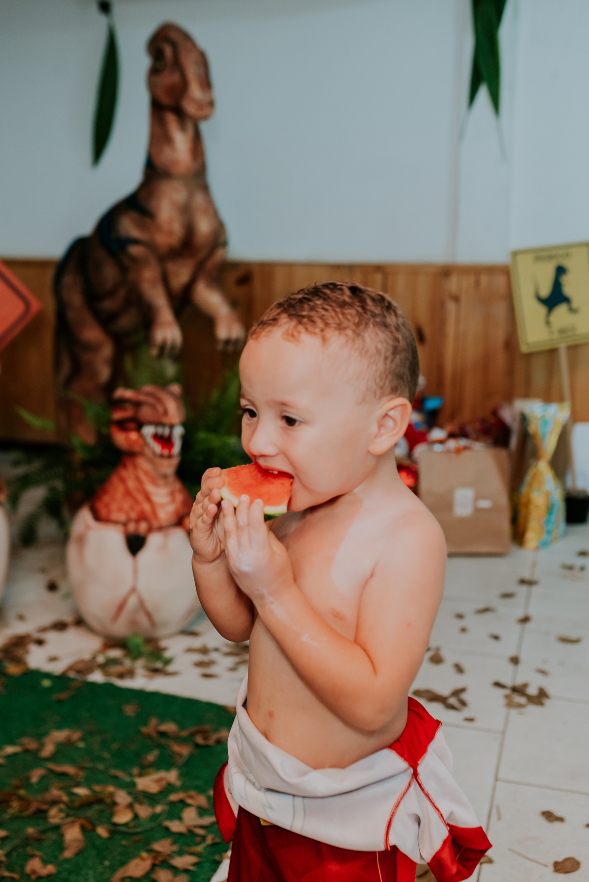 fotografia festa infantil 3 anos Joaquim ilha do governador dinossauro fotografa familia bruna Guerson ufrj 