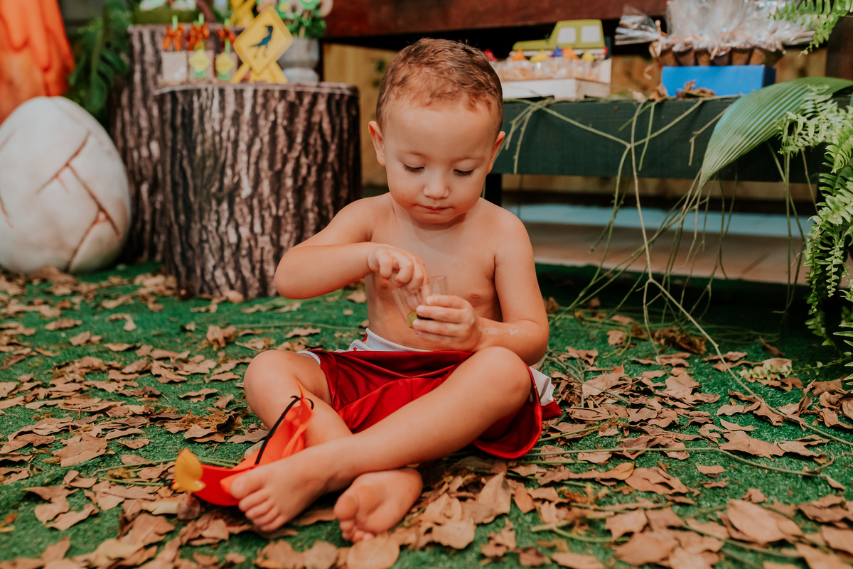 fotografia festa infantil 3 anos Joaquim ilha do governador dinossauro fotografa familia bruna Guerson ufrj 