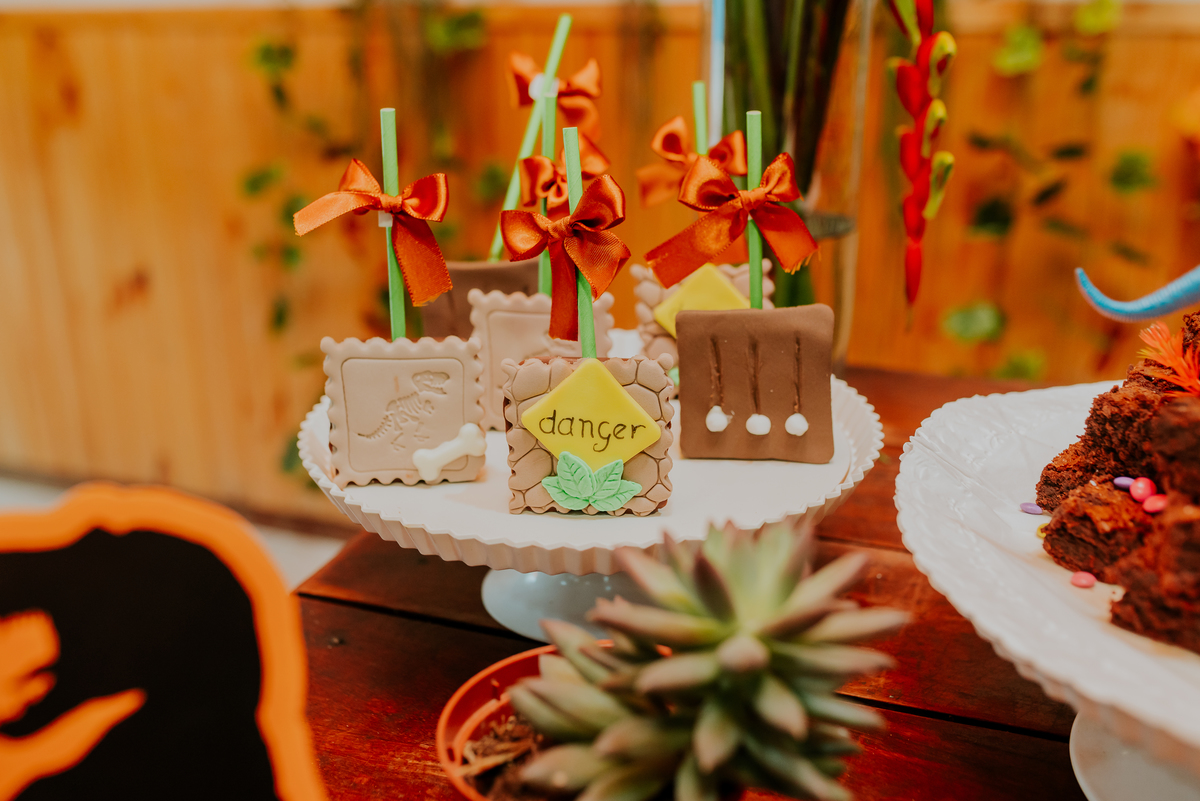 fotografia festa infantil 3 anos Joaquim ilha do governador dinossauro fotografa familia bruna Guerson ufrj 