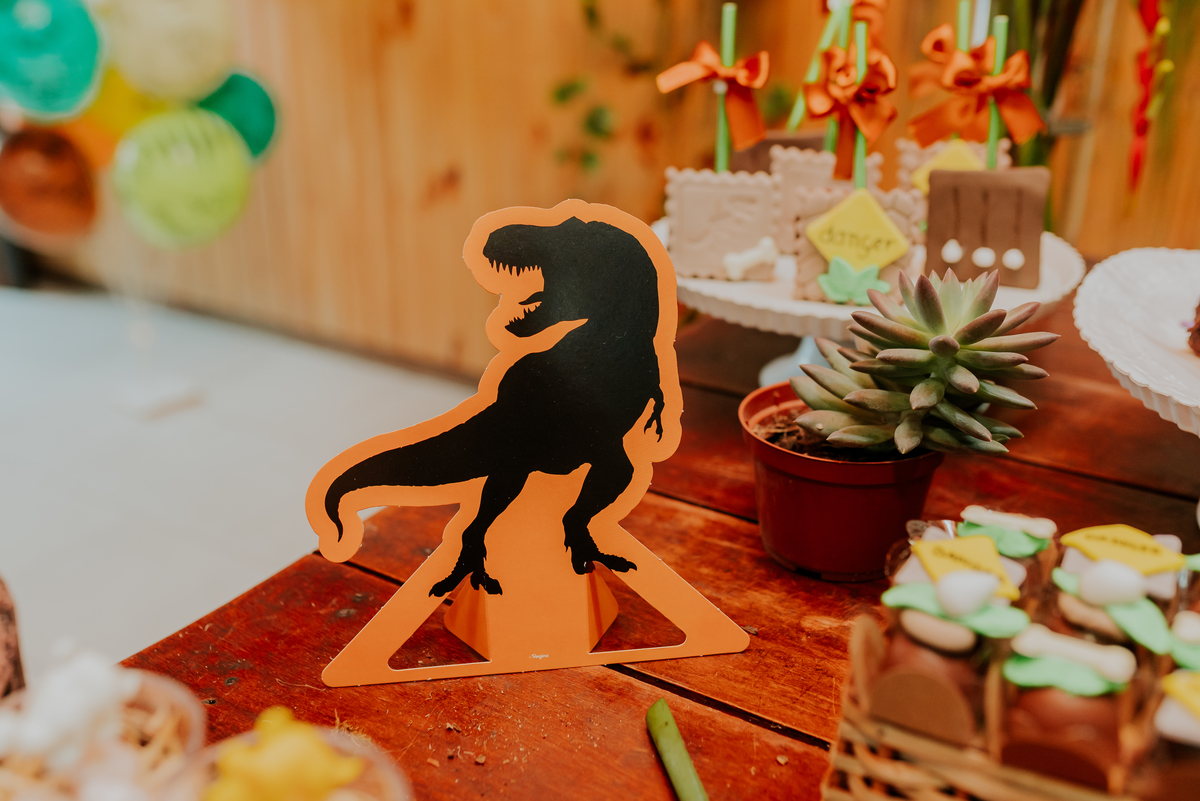 fotografia festa infantil 3 anos Joaquim ilha do governador dinossauro fotografa familia bruna Guerson ufrj 