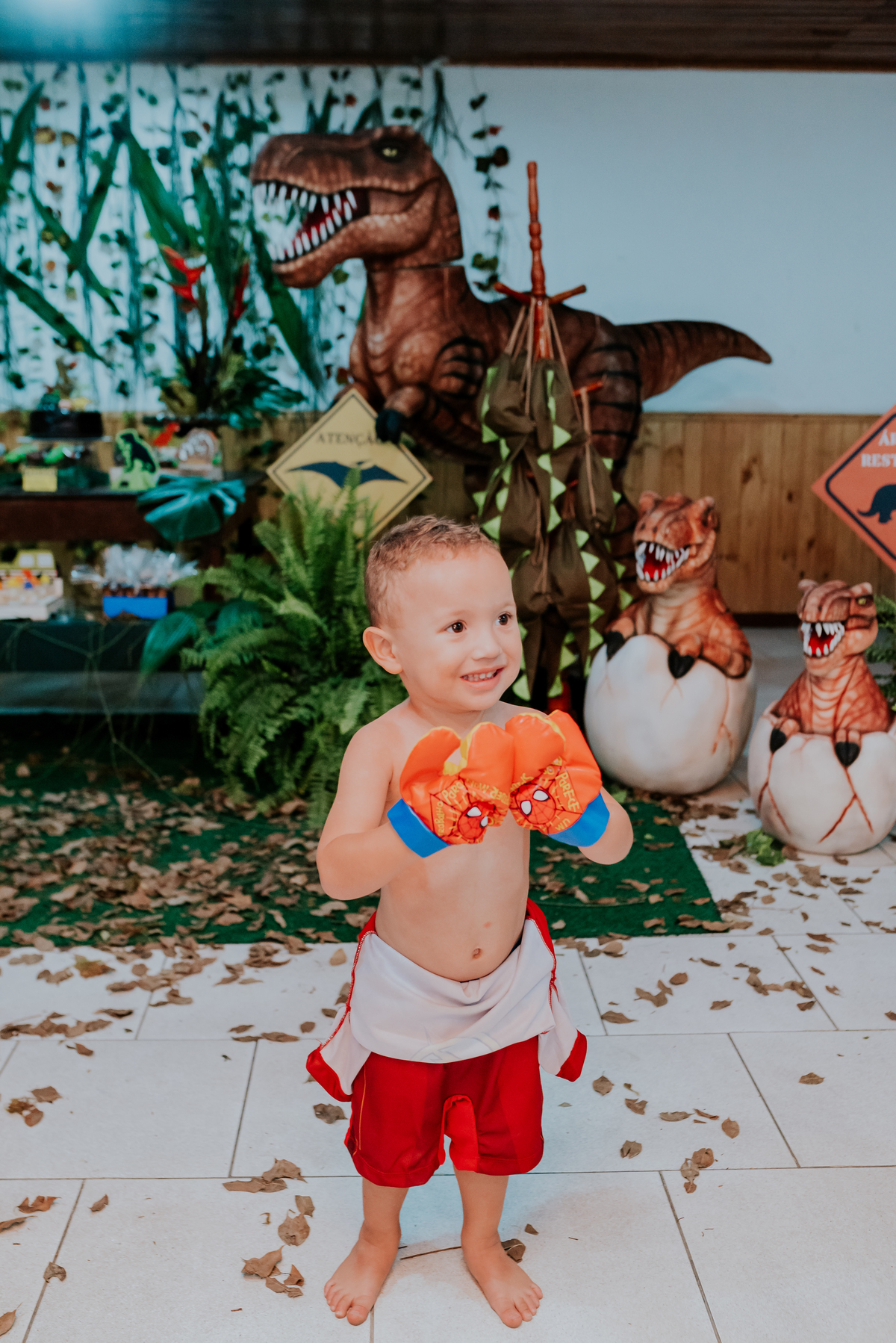 fotografia festa infantil 3 anos Joaquim ilha do governador dinossauro fotografa familia bruna Guerson ufrj 