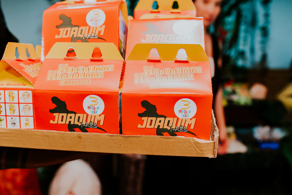 fotografia festa infantil 3 anos Joaquim ilha do governador dinossauro fotografa familia bruna Guerson ufrj 