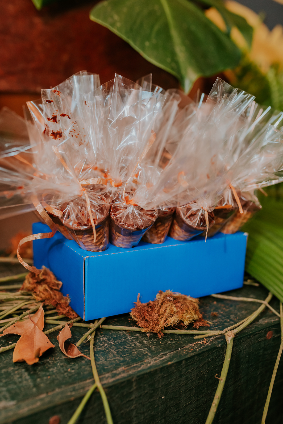 fotografia festa infantil 3 anos Joaquim ilha do governador dinossauro fotografa familia bruna Guerson ufrj 