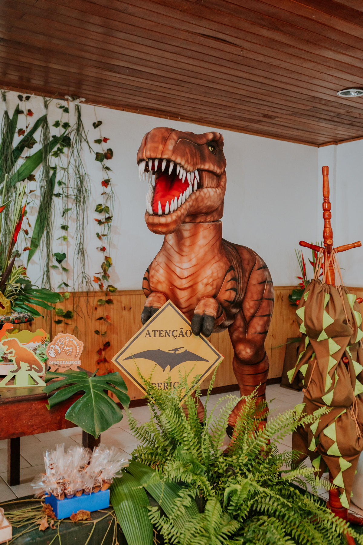 fotografia festa infantil 3 anos Joaquim ilha do governador dinossauro fotografa familia bruna Guerson ufrj 