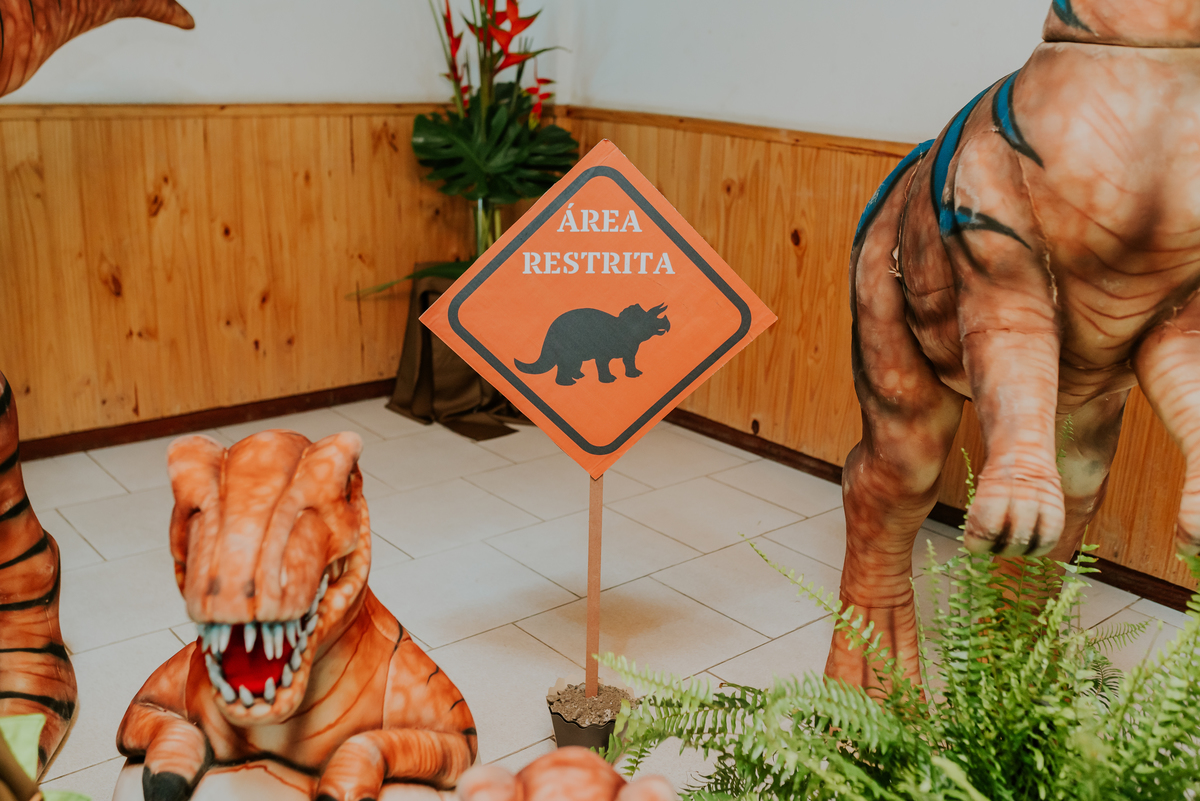 fotografia festa infantil 3 anos Joaquim ilha do governador dinossauro fotografa familia bruna Guerson ufrj 