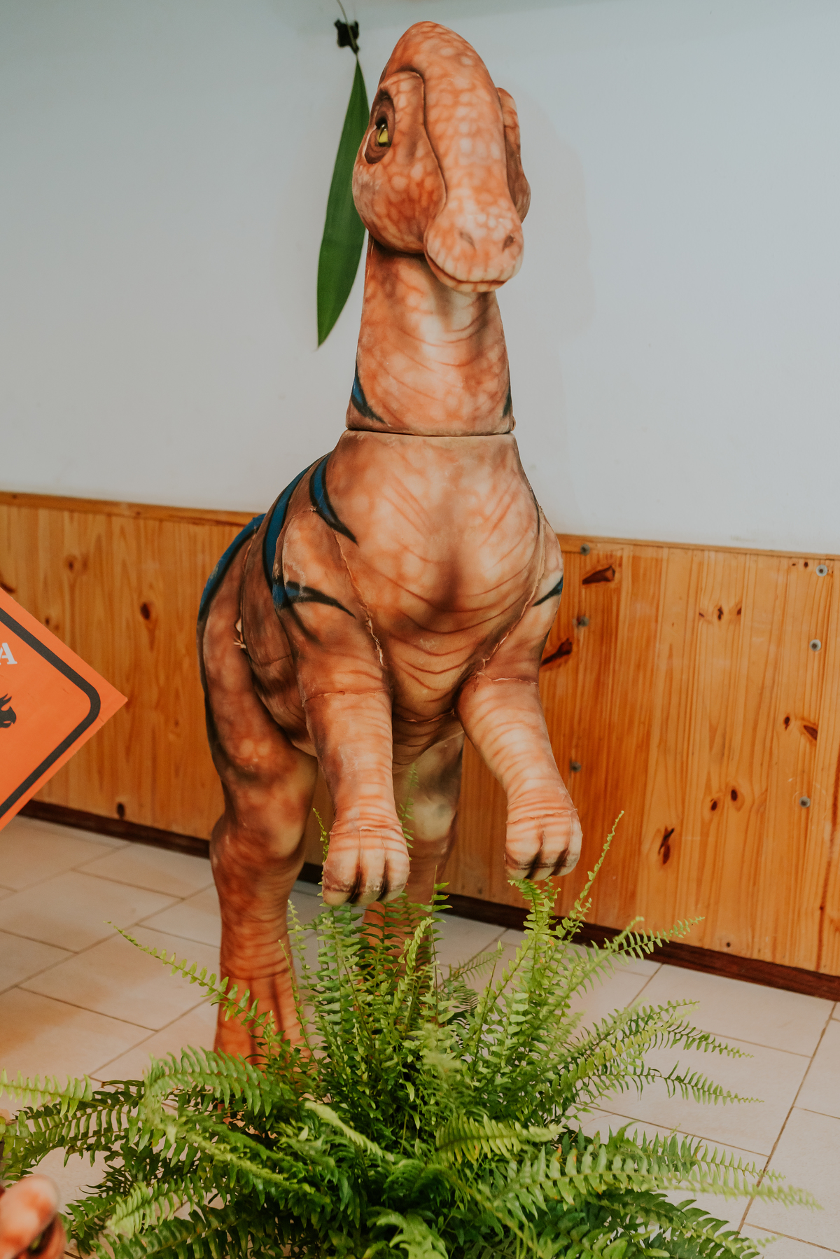 fotografia festa infantil 3 anos Joaquim ilha do governador dinossauro fotografa familia bruna Guerson ufrj 