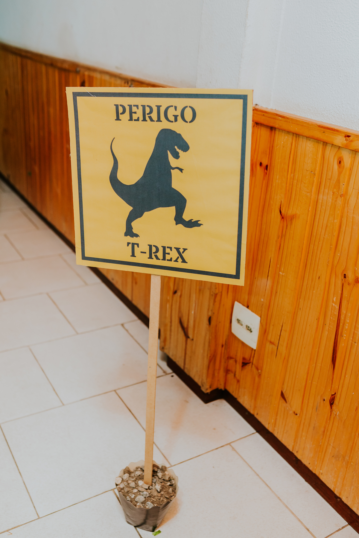 fotografia festa infantil 3 anos Joaquim ilha do governador dinossauro fotografa familia bruna Guerson ufrj 