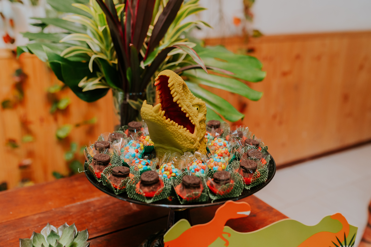 fotografia festa infantil 3 anos Joaquim ilha do governador dinossauro fotografa familia bruna Guerson ufrj 